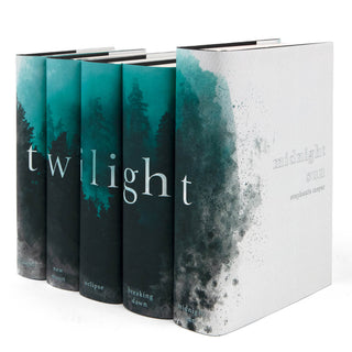 Angle shot of Twilight Saga four book set from Juniper Books. Twilight typed across spines in white serif font set against a blue and gray watercolor style foggy pine forest. Book title centered at the bottom of each spine.