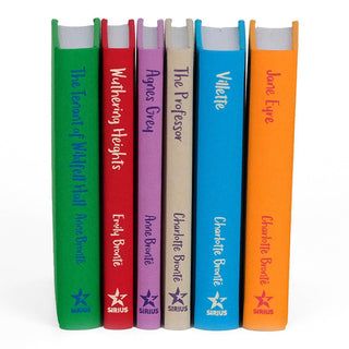 Unjacketed books in the Bronte Sisters Book Set from Juniper Books. Under the covers are 6 cloth bound rainbow books with author and book title down the spine.