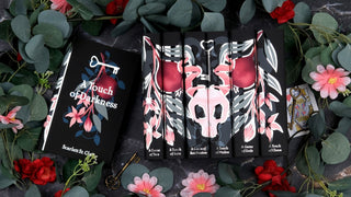 Hades x Persephone Saga Limited Edition Book Set from Juniper Books.