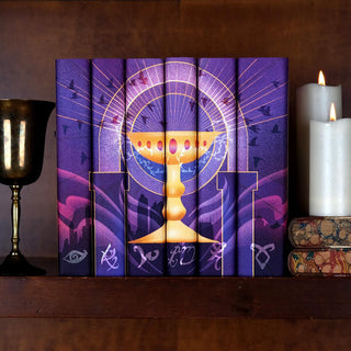 Mortal Instruments by Cassandra Clare Book Set