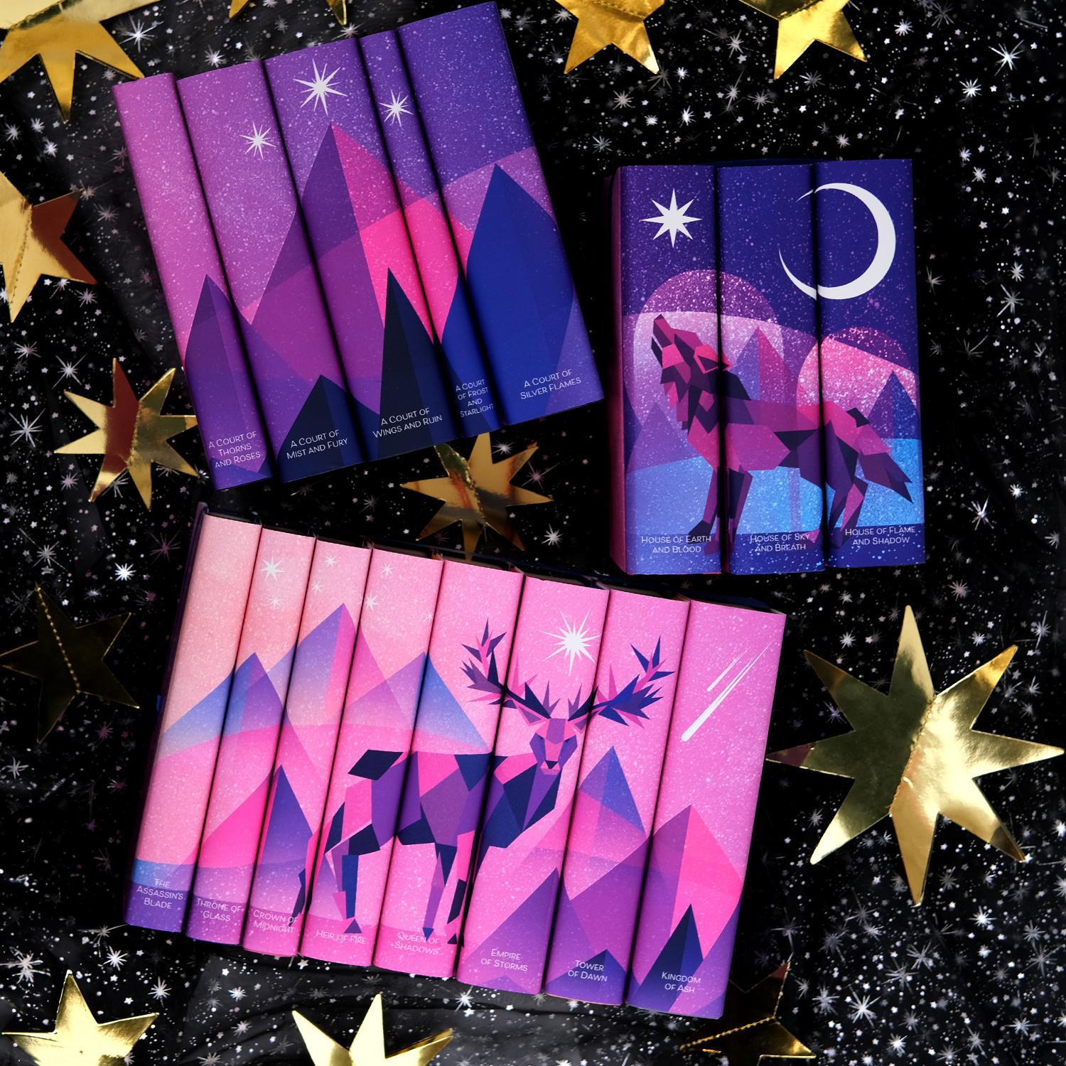 Sarah J Maas Universe: Crescent City Book Set