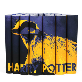 Harry Potter Jackets with House Mascot Designs - Main Image