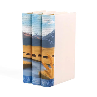 Angled view displaying spine and cover design of the American West Books Sets from Juniper Books.