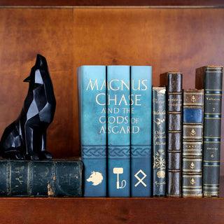 Special Edition book covers for Magnus Chase and the Gods of Asgard book set by Rick Riordan styled on a bookshelf with covers by Juniper Books.