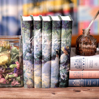 Special Edition Jane Austen Delicious Solitude Five Book Set by Jane Austen styled on a shelf with eye catching book covers designed by Juniper Books.