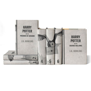 Search: 5 results found for leather harry potter  Harry potter book set, Harry  potter book covers, Harry potter
