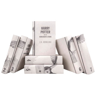 These dust jackets transform your existing Harry Potter books with an illustration that will be instantly recognized by any Harry Potter fan, and yet truly unique on your shelves.