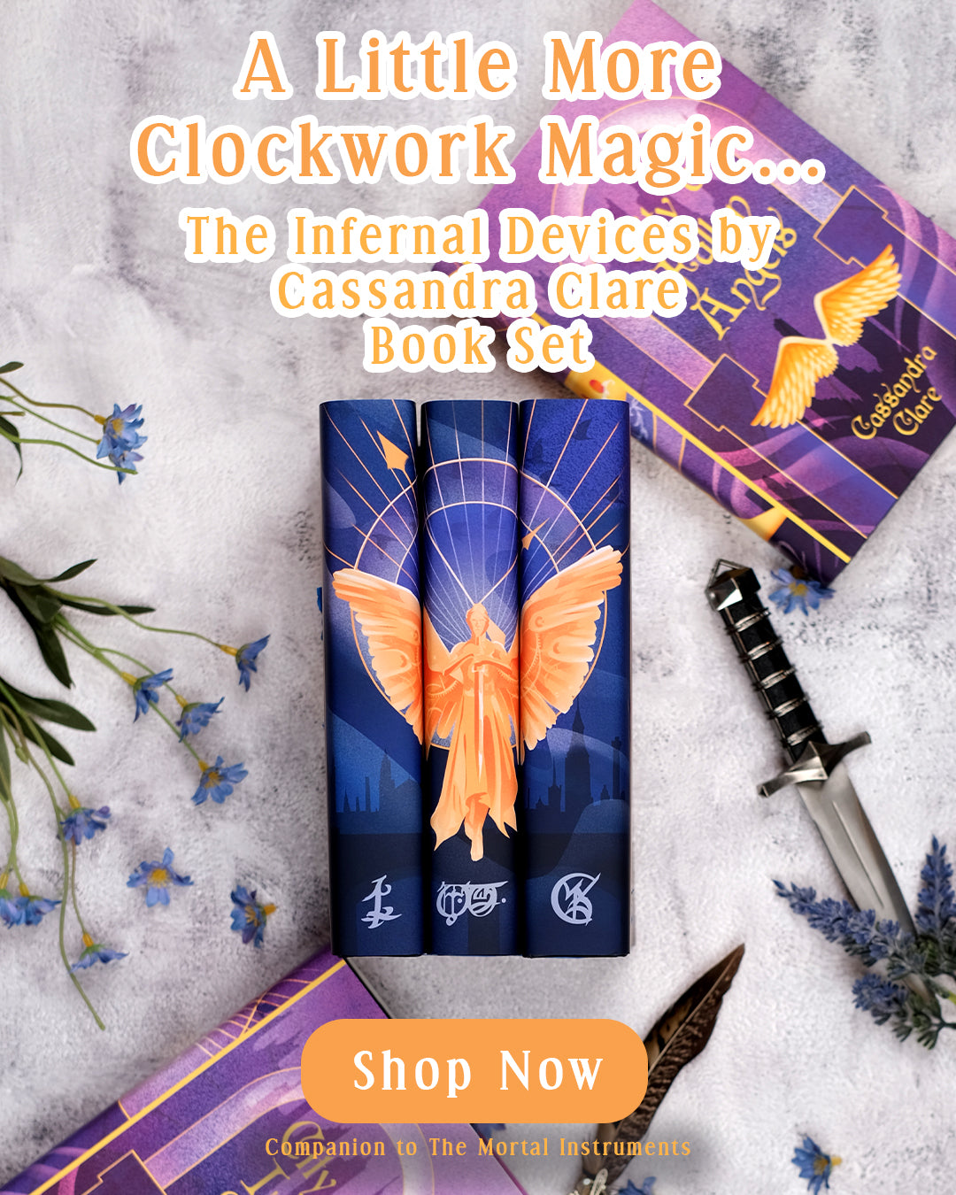 Special edition and limited edition book sets by beloved authors.