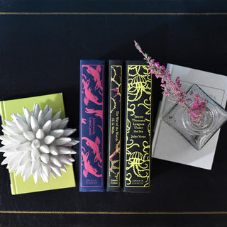 With neon accents, these three books make a big impact in person. H.G Wells. Lewis Carroll. Juniper Books custom Curation. Palette. Interior Design. Book Sets. Penguin Classics. Trade. Custom. Gift Message