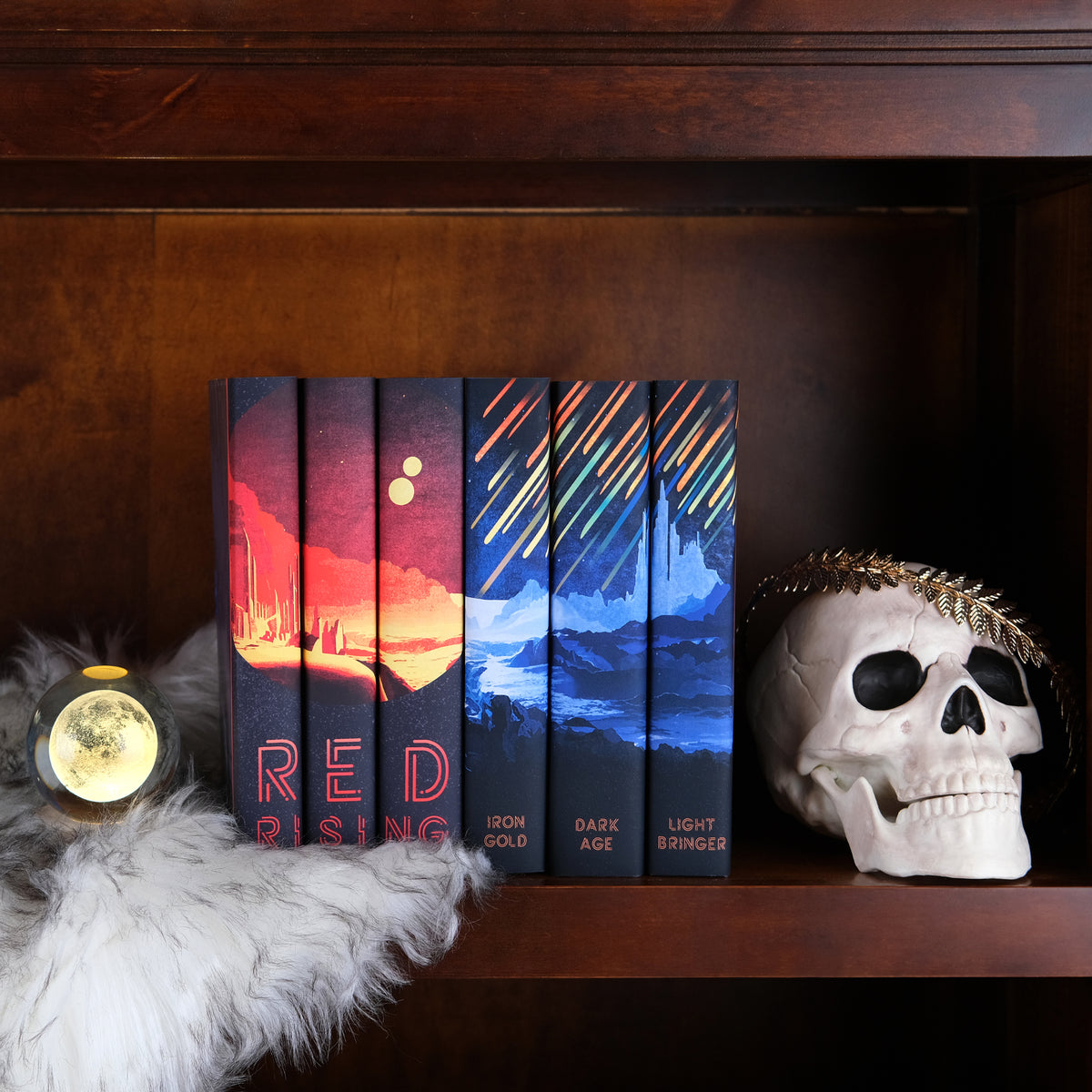 Book Collections by Fandom – Curated Sets for Ultimate Fans