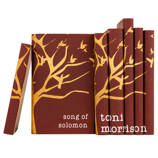 Juniper Books custom designed jackets elevate this Toni Morrison book set as gift or art piece. Order our ready to ship sets! Gift. Trade. Custom. Special Edition, Collection
