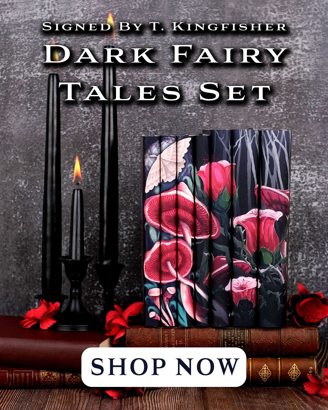 Special edition and limited edition book sets by beloved authors.