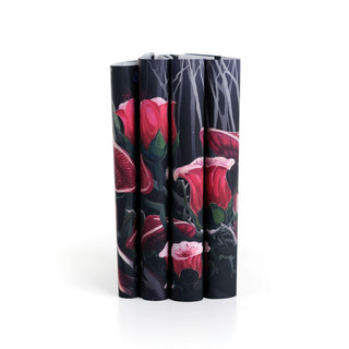Special edition Dark Fairy Tales Book Set by T. Kingfisher with eye catching book covers from Juniper Books