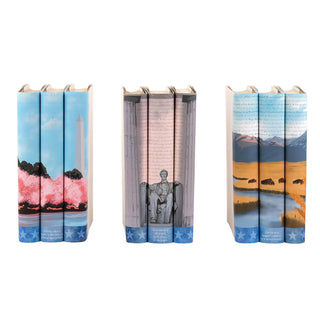 Special edition America 250 book set with eye catching book covers from Juniper Books.