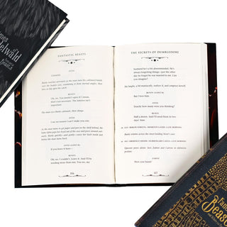 Fantastic Beasts: The Secrets of Dumbledore Single Book