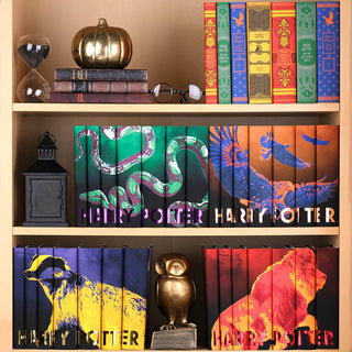 All four Harry Potter Mascot sets on bookshelf with Juniper Books Mashup set decorated with lantern, owl, glasses, hourglass