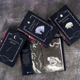 Dark Fairy Tales by T. Kingfisher Limited Edition Signed Book Set