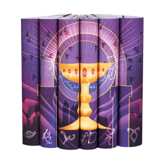 Mortal Instruments by Cassandra Clare Set - Jackets Only