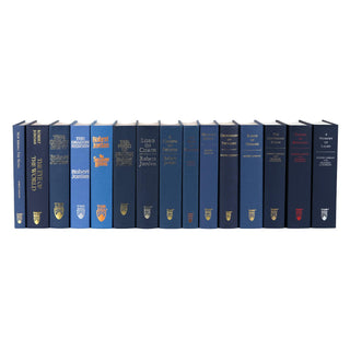 Unjacketed The Wheel of Time book set showcasing all 15 books with hardcover bindings in various shades of blue. Each spine features gold or silver embossed text, displaying the title, author name, and Tor Books logo at the bottom.