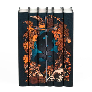 Front shot of the Folk of the Air Book Set. Spines create seamless design of a snake coiled around a sword surrounded by oak leaves, fruit, mushrooms, feathers, bones, and crystals.