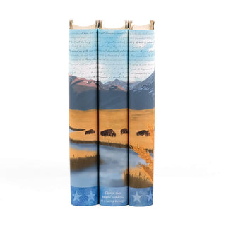 American West book covers from Juniper Books with scenic covers featuring mountains, bison, and nature.