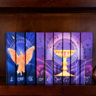 The Infernal Devices and The Mortal Instruments Juniper Books sets shelved together as a Shadowhunter Chronicles collection.
