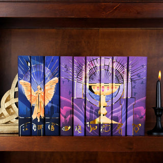 Limited Edition Infernal Devices and Mortal Instruments book sets by Cassandra Clare shelved together, with Juniper Books covers forming an angel over London and the Mortal Cup over New York.