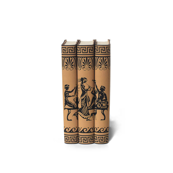 Ancient Epics Book Set - Juniper Books